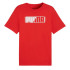 T-shirt Le libellé des graphismes de Puma pour toujours Homme
