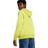 Sweat Puma Power Graphic Lima Enfant