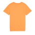 T-shirt Puma Essentials+ 2 Col Orange Enfant