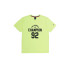 T-shirt Champion Col ras du cou Homme Jaune