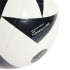 Balle de Football adidas Allemagne Cub White