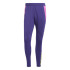 Pantalon de Football adidas Predator Tr Homme Purple