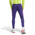 Pantalon de Football adidas Predator Tr Homme Purple