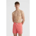 Maillot de bain de playa y piscine O'neill Vert 16'' Corail Homme