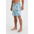 Maillot de bain O'neill Hyperfreak Mysto Scallop 19'' Bleu Homme
