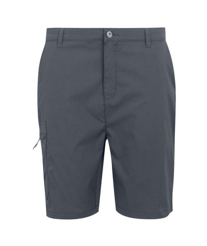 Pantalon de Montagne Regatta Dalry Homme Seal Grey