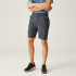 Pantalon de Montagne Regatta Dalry Homme Seal Grey