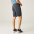 Pantalon de Montagne Regatta Dalry Homme Seal Grey