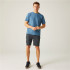 Pantalon de Montagne Regatta Dalry Homme Seal Grey
