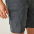 Pantalon de Montagne Regatta Dalry Homme Seal Grey