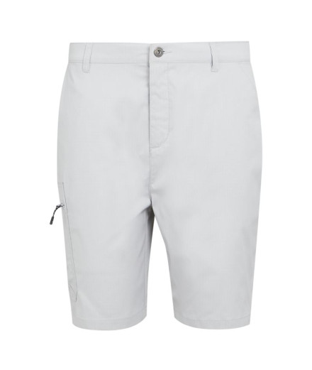 Pantalon de Montagne Regatta Dalry Homme Silver Gris