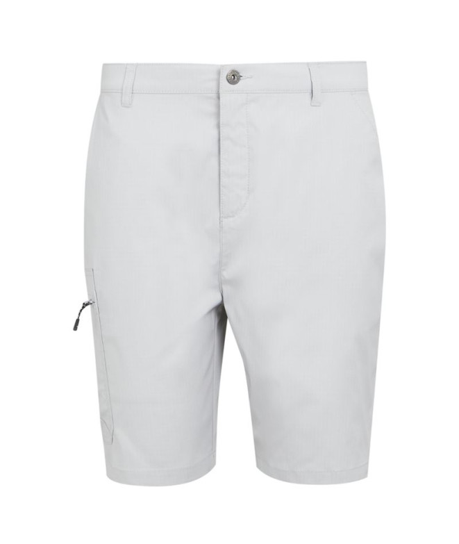 Pantalon de Montagne Regatta Dalry Homme Silver...