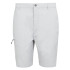Pantalon de Montagne Regatta Dalry Homme Silver Gris