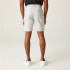Pantalon de Montagne Regatta Dalry Homme Silver Gris