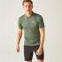 Polo de Montagne Regatta Remex II Homme Agave Verde