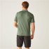 Polo de Montagne Regatta Remex II Homme Agave Verde