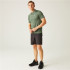 Polo de Montagne Regatta Remex II Homme Agave Verde