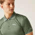 Polo de Montagne Regatta Remex II Homme Agave Verde