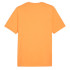 T-shirt Homme Puma Graphics Mountain e Clementine Orange
