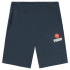 Pantalon short Puma Blanck Ba Navy Blue