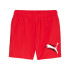 Pantalons Puma Essentials+ AB Cat Red Homme