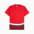 T-shirt Football Homme de Puma Switzerland 2024 Red