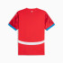 T-shirt Football Homme de Puma Czech Replica 2024 Red