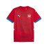 T-shirt Football Homme de Puma Serbia 2024 Red
