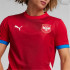T-shirt Football Homme de Puma Serbia 2024 Red