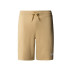 Pantalon Short The North Face Graphic Short Light- Homme Beige