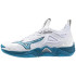 Chaussures De Volley-ball Mizuno Wave Momentum 3 White