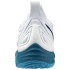 Chaussures De Volley-ball Mizuno Wave Momentum 3 White