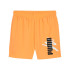 Pantalons Puma Essentials+ Logo Lab Orange Homme