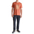 T-shirt Astore Levi Orange grillé Homme