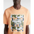 T-shirt Vans Boîte classique imprimée Corail Homme