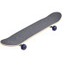 Skate Tony Hawk SS 360 Toxicité complète
