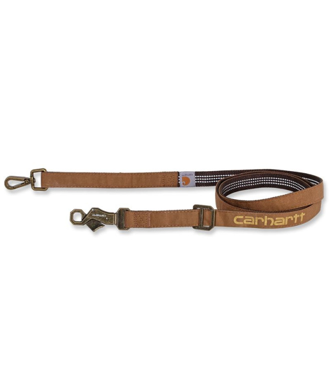 Laisse Homme Collier pour chien Carhartt...