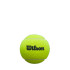 Balles pádel Wilson de Premier 3 Ball