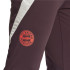 Pantalon Football adidas Homme de Fc Bayern 24/25 Tiro24 Training Brown