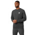 Sweat Montagne by Helly Hansen Nord Graphic Grey Homme