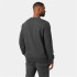 Sweat Montagne by Helly Hansen Nord Graphic Grey Homme