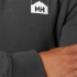 Sweat Montagne by Helly Hansen Nord Graphic Grey Homme