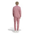 adidas French Terry Homme Tracksuit Sportswear Basic 3-Stripes Rose