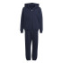 Survêtement adidas Enfant Tous les graphiques Szn Bleu