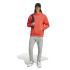 Sweat adidas Homme Polaire All Szn Rouge