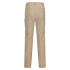 Pantalons Regatta Homme Highton Z/O Beige