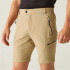 Pantalons Regatta Homme Highton Z/O Beige