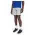 Bermuda Champion Bermuda Homme Gris