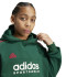 Sweat adidas Pack Enfant Tiro Nations Green