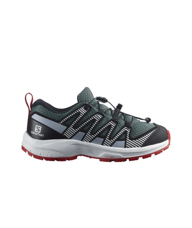 Chaussures Montagne Salomon de XA Pro V8...